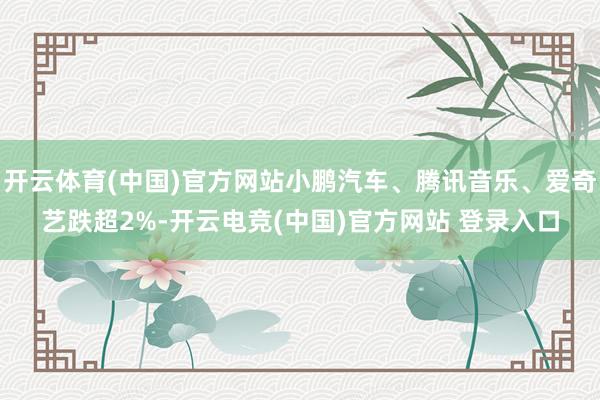开云体育(中国)官方网站小鹏汽车、腾讯音乐、爱奇艺跌超2%-开云电竞(中国)官方网站 登录入口