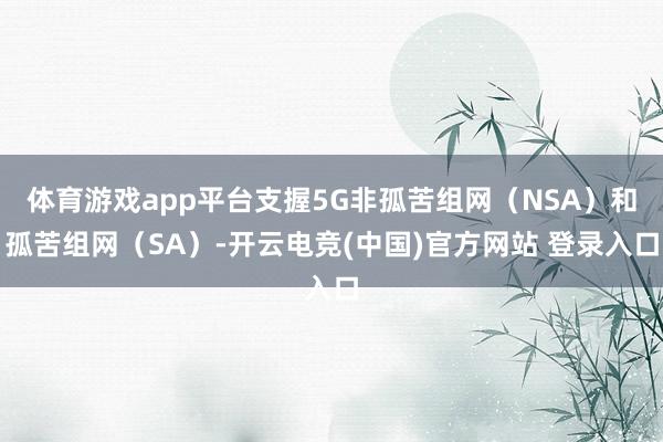 体育游戏app平台支握5G非孤苦组网（NSA）和孤苦组网（SA）-开云电竞(中国)官方网站 登录入口