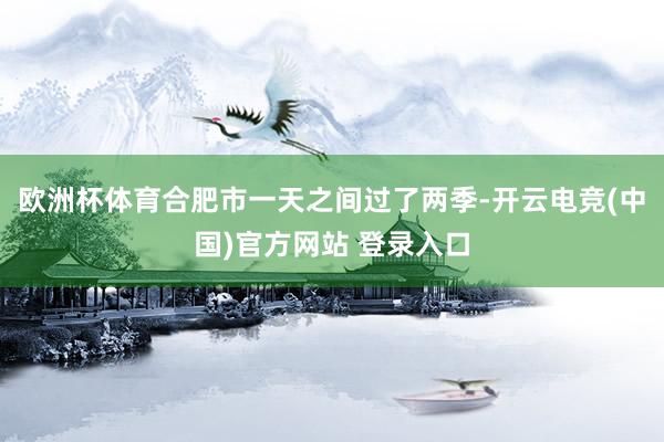 欧洲杯体育合肥市一天之间过了两季-开云电竞(中国)官方网站 登录入口