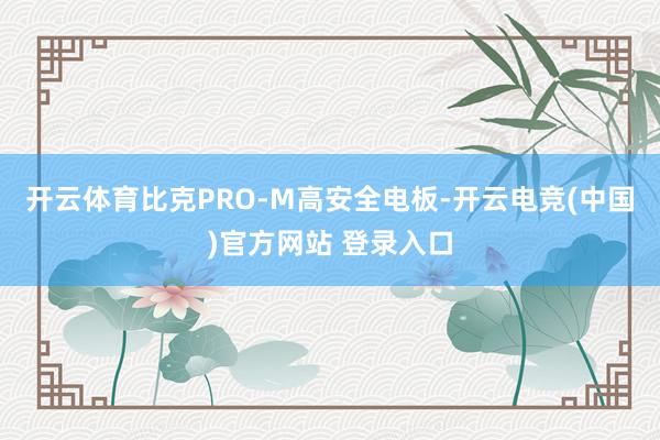 开云体育比克PRO-M高安全电板-开云电竞(中国)官方网站 登录入口
