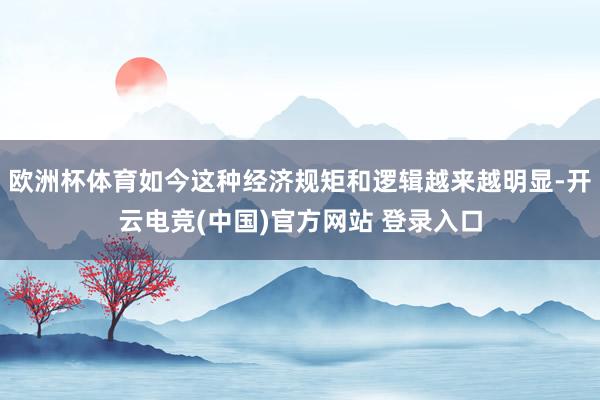 欧洲杯体育如今这种经济规矩和逻辑越来越明显-开云电竞(中国)官方网站 登录入口