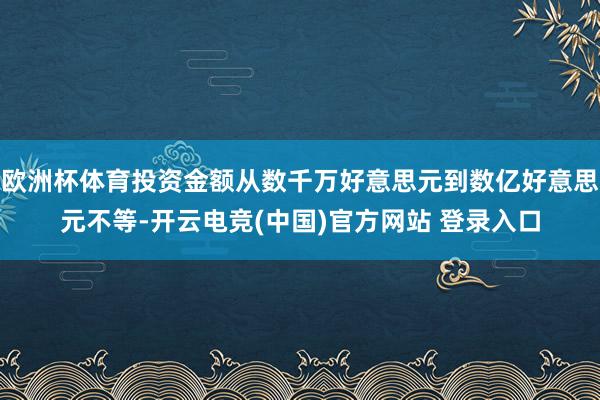 欧洲杯体育投资金额从数千万好意思元到数亿好意思元不等-开云电竞(中国)官方网站 登录入口