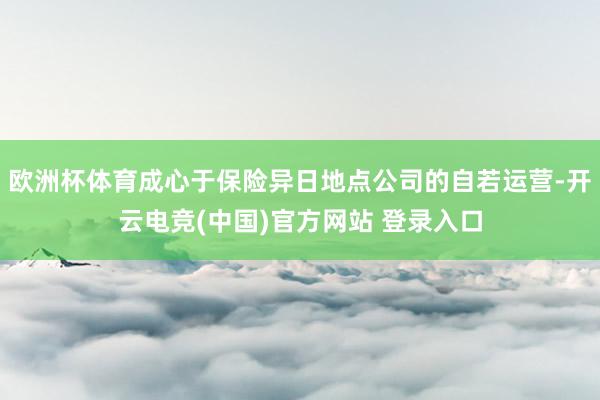 欧洲杯体育成心于保险异日地点公司的自若运营-开云电竞(中国)官方网站 登录入口