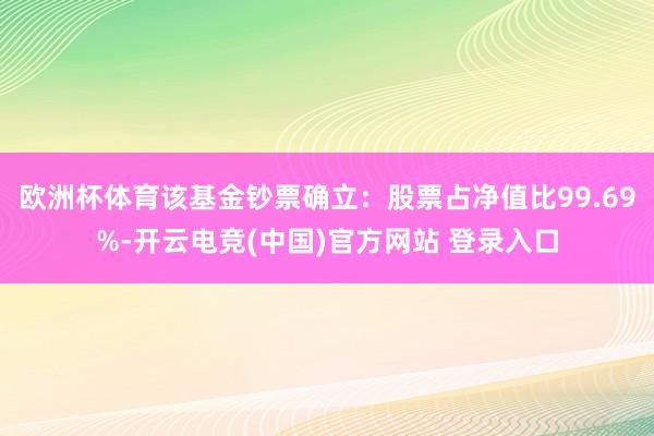 欧洲杯体育该基金钞票确立：股票占净值比99.69%-开云电竞(中国)官方网站 登录入口