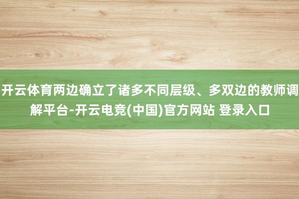 开云体育两边确立了诸多不同层级、多双边的教师调解平台-开云电竞(中国)官方网站 登录入口
