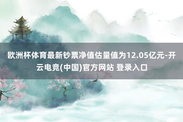 欧洲杯体育最新钞票净值估量值为12.05亿元-开云电竞(中国)官方网站 登录入口