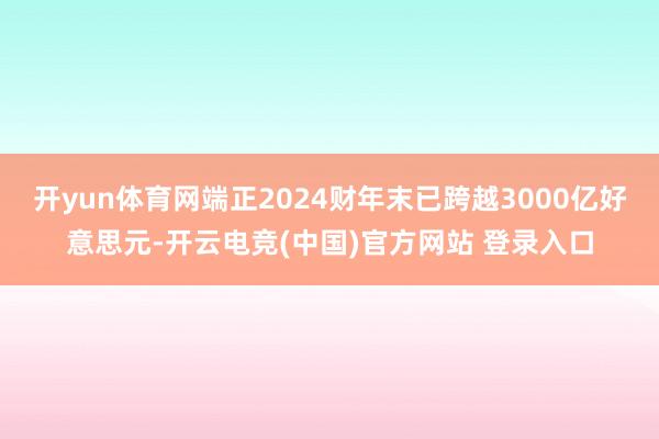 开yun体育网端正2024财年末已跨越3000亿好意思元-开云电竞(中国)官方网站 登录入口