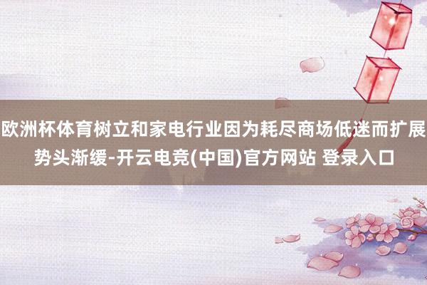 欧洲杯体育树立和家电行业因为耗尽商场低迷而扩展势头渐缓-开云电竞(中国)官方网站 登录入口