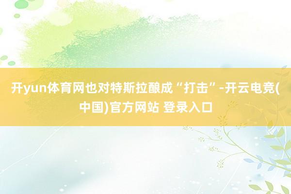 开yun体育网也对特斯拉酿成“打击”-开云电竞(中国)官方网站 登录入口