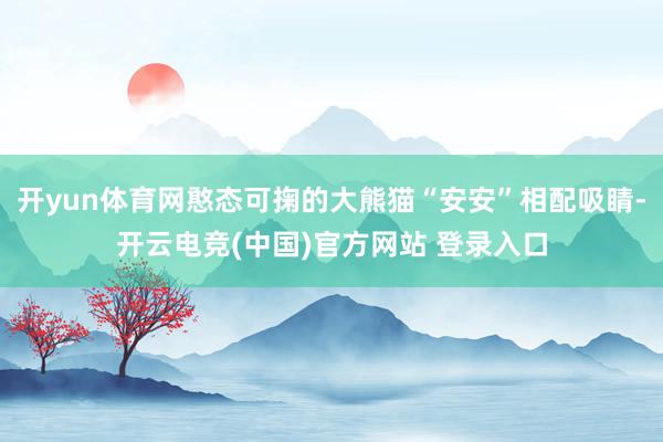 开yun体育网憨态可掬的大熊猫“安安”相配吸睛-开云电竞(中国)官方网站 登录入口