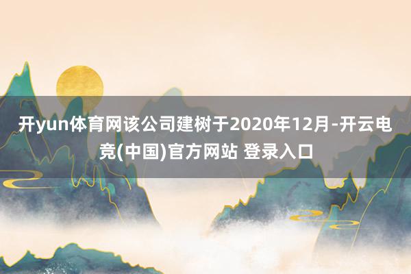 开yun体育网　　该公司建树于2020年12月-开云电竞(中国)官方网站 登录入口
